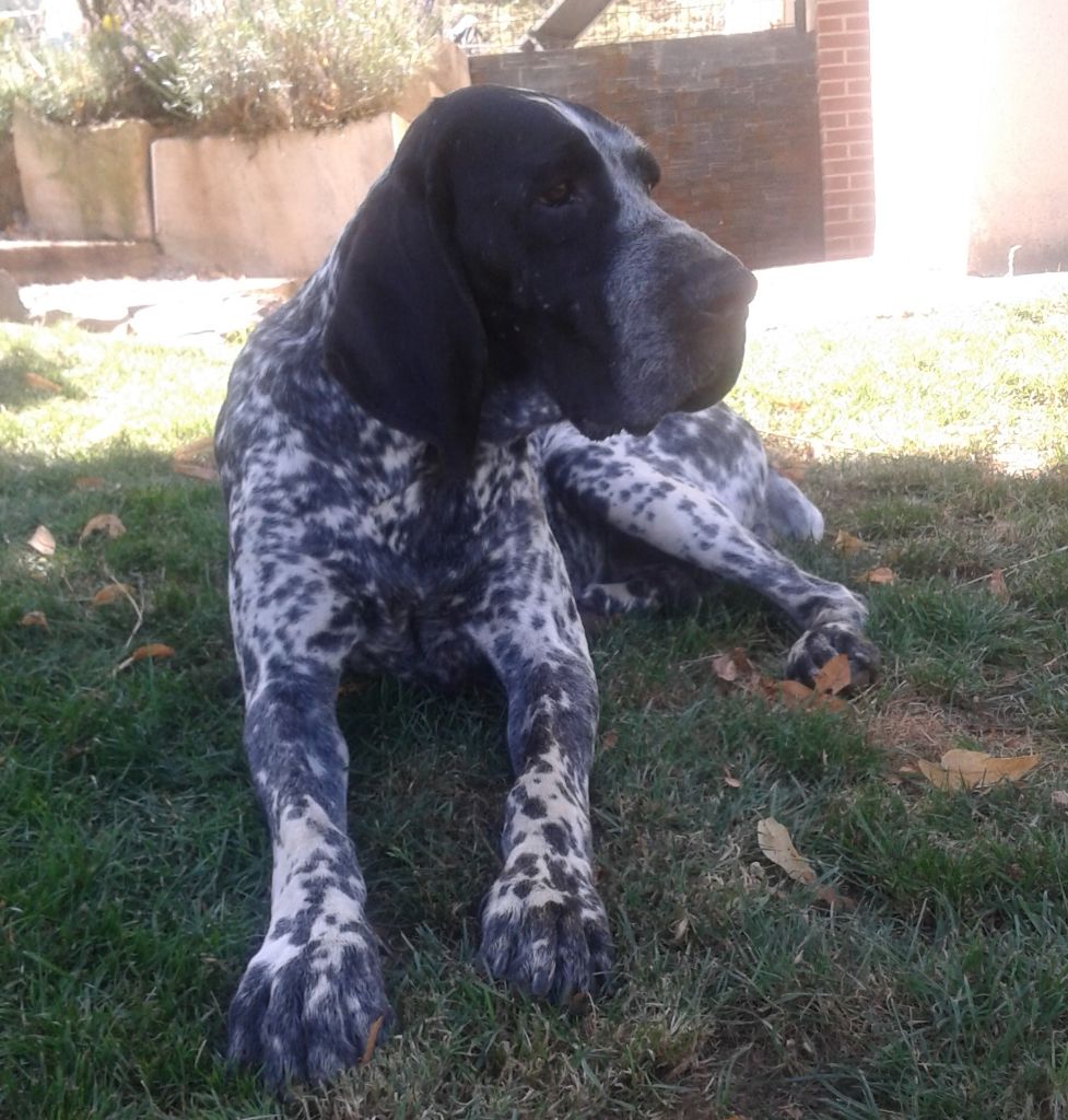 Ola'bellebleue del angel de los volcanos