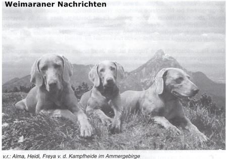 Freya von der kampfheide