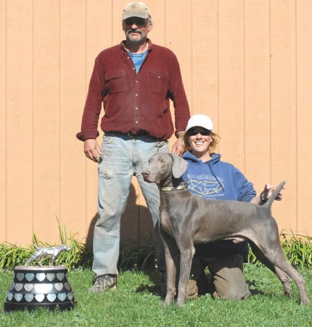 TR. CH. scooby doo's Treeline storm