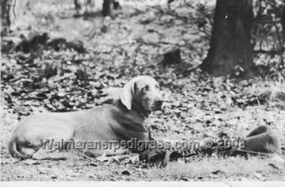 Urmel vom wasserschloss