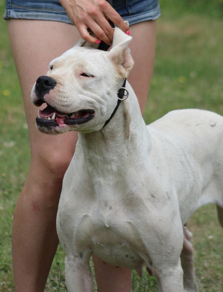 CH. Teruca de la pampita