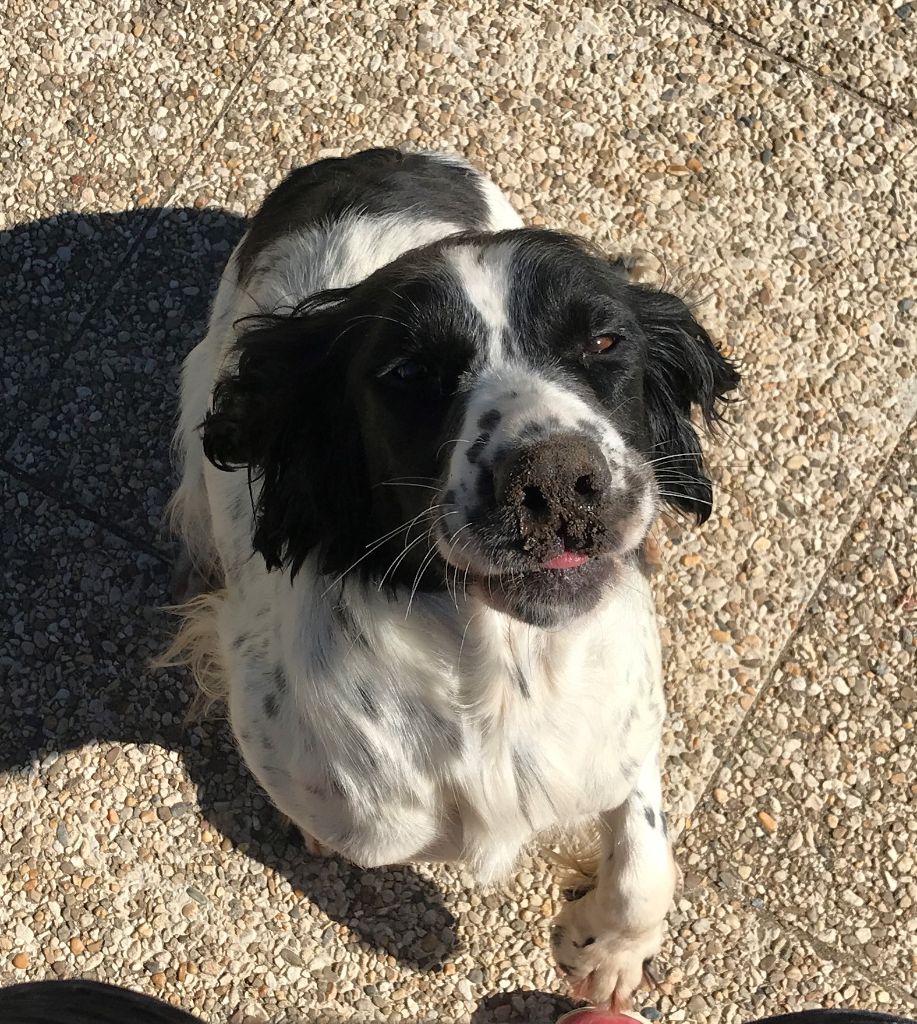 Publication : des Etangs de Dame Blanche