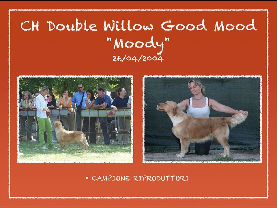CH. double willow Good mood