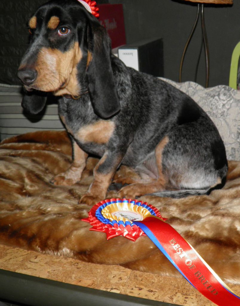 Publication : de la maison d'Omer Auteur : Isabelle Goedefroit