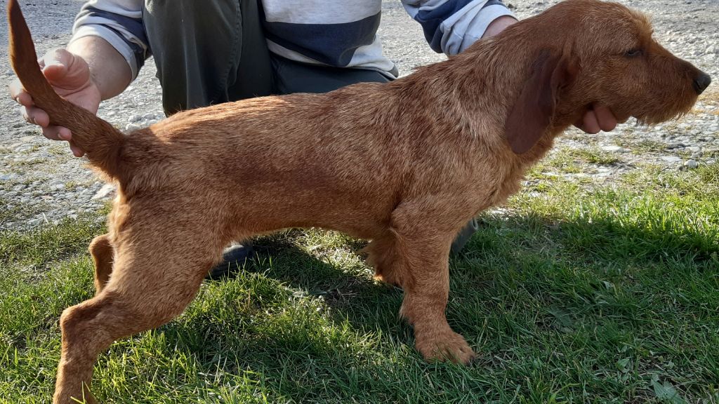 Publication : du rallye de ramondens 