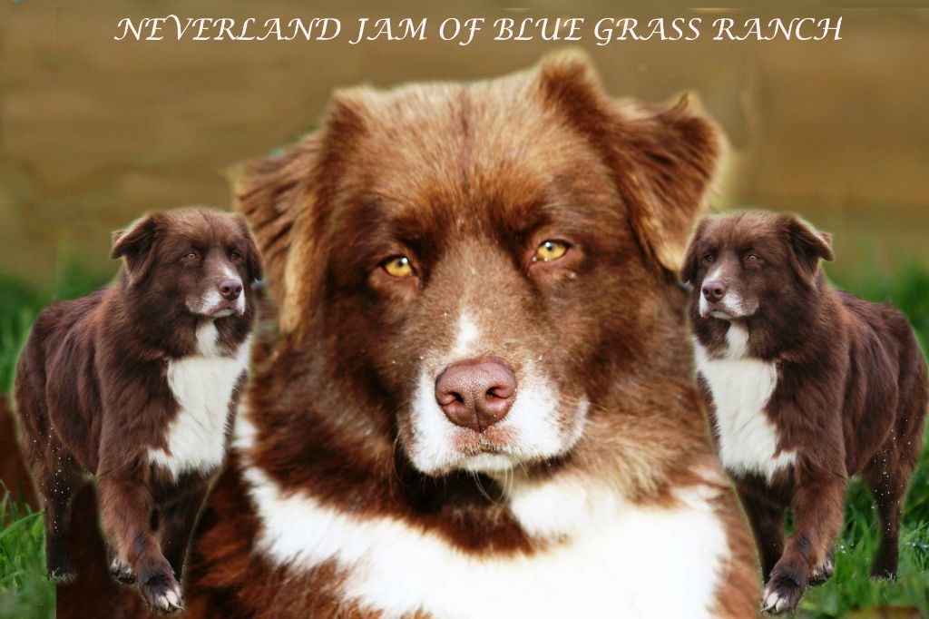 Neverland jam of Blue Grass Ranch