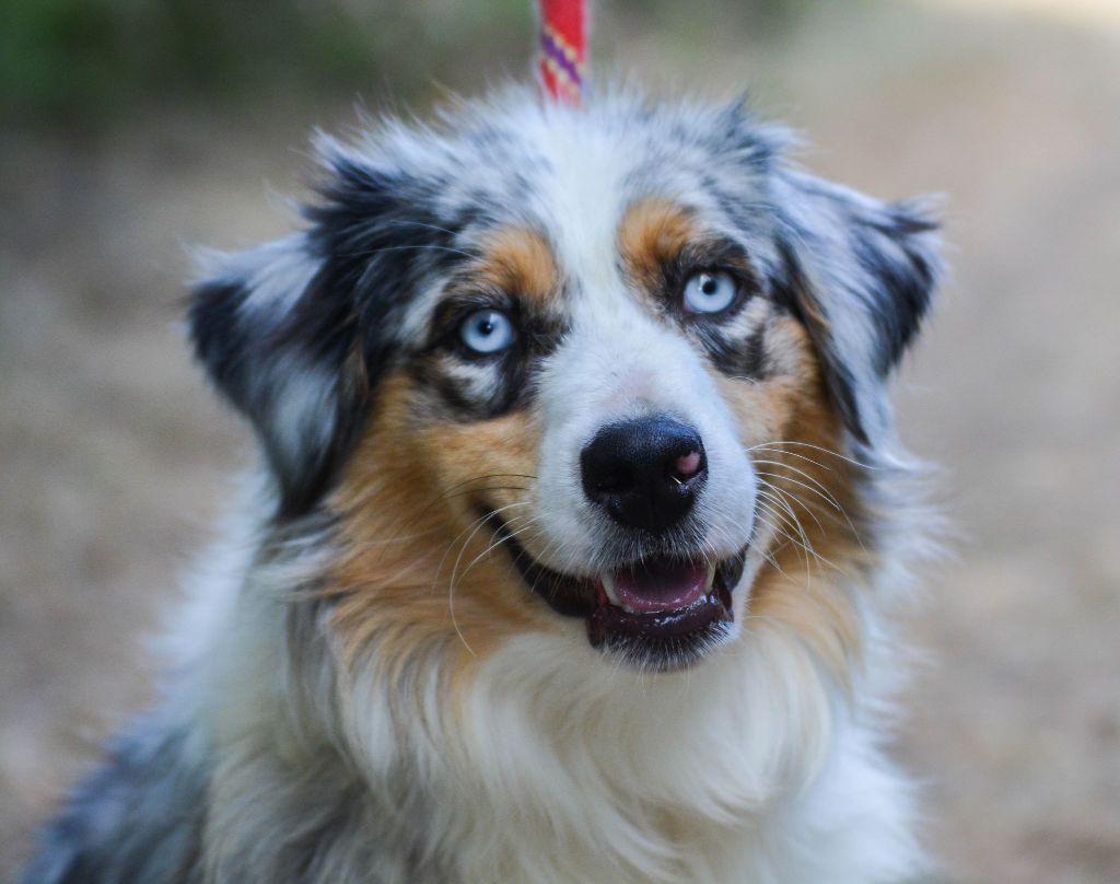 Publication : Des Collines D'Evereven Auteur : Evereven© - 2020