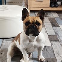 Publication : des dobs d'arnoline