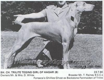 TR. CH. Trilite Tegins girl of hagar