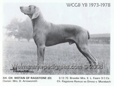 TR. CH. Wotan of ragstone