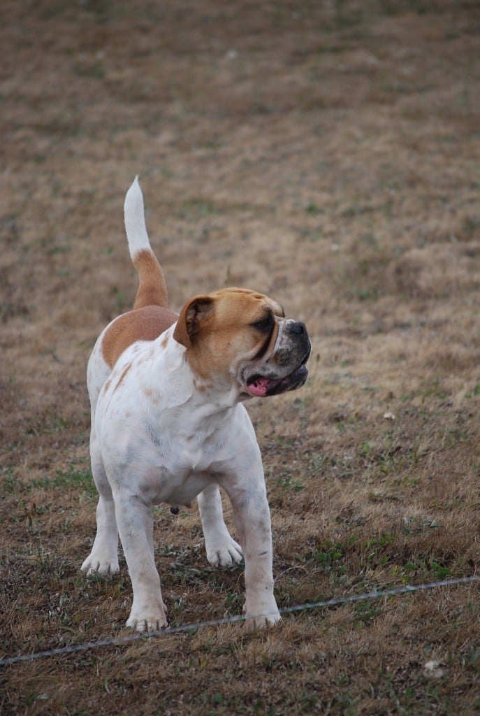 Oasis Des sources sacrees