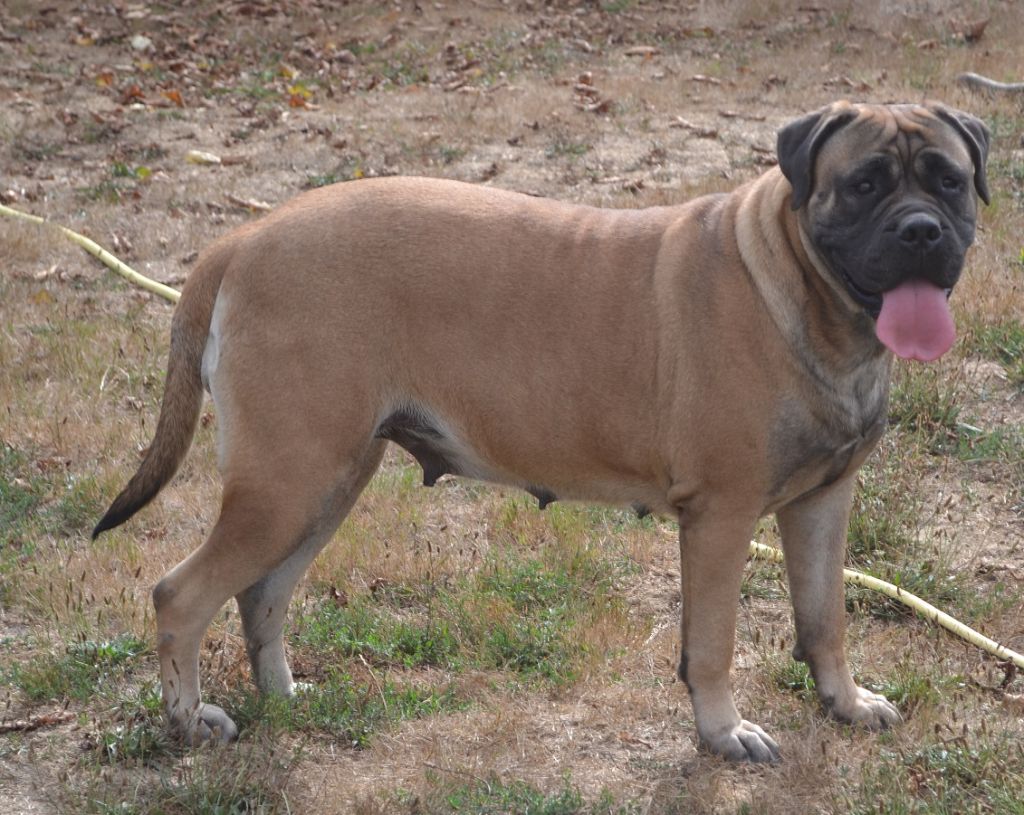 Malya des Légendes d'autan