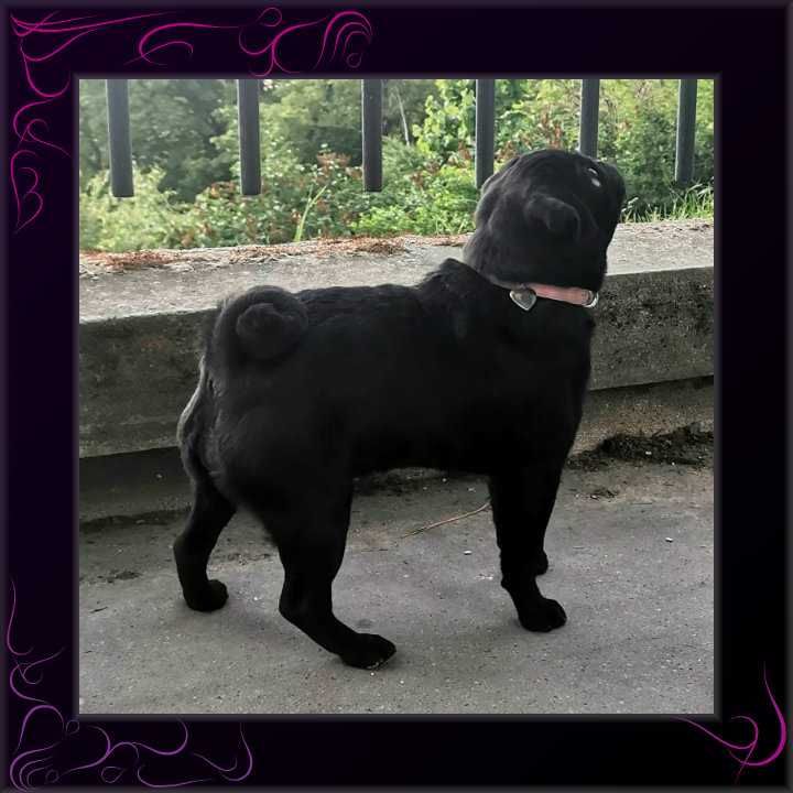 Publication : de la closerie de Paris 