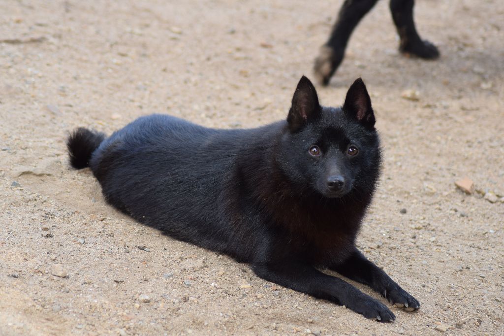 Ouna Des Aventures Des Anges