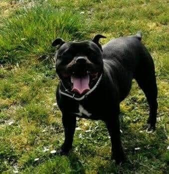 Publication : De L'Empreinte De Minnie