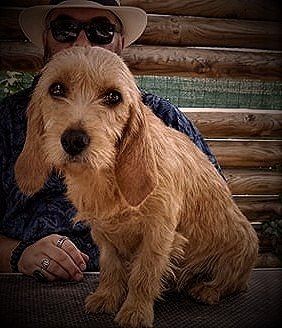 Publication : Des Terres Du Templier 