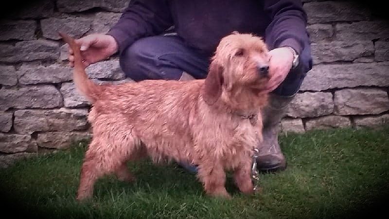 Publication : Des Terres Du Templier 