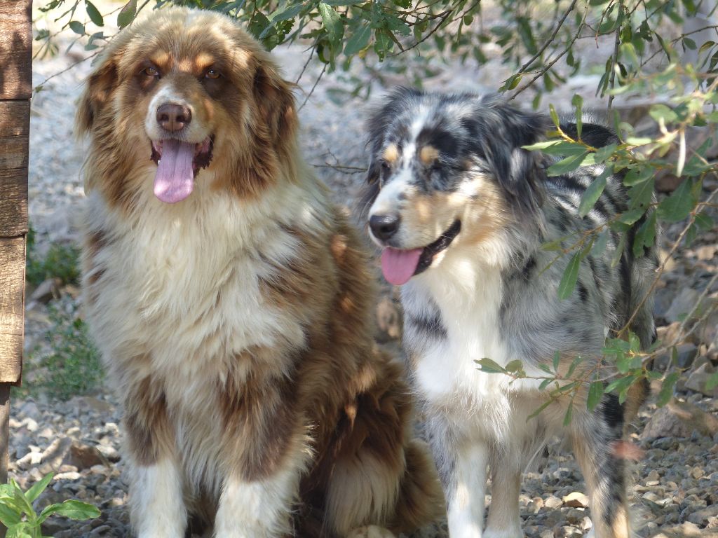 Lempicka des Terres des Forges