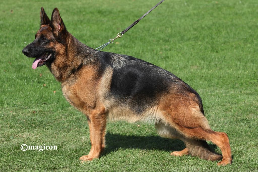 Publication : du val d'Anzin Auteur : Magicon