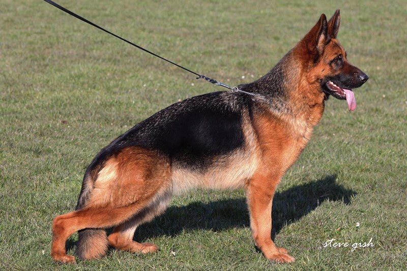 Publication : du val d'Anzin Auteur : Steve Gish