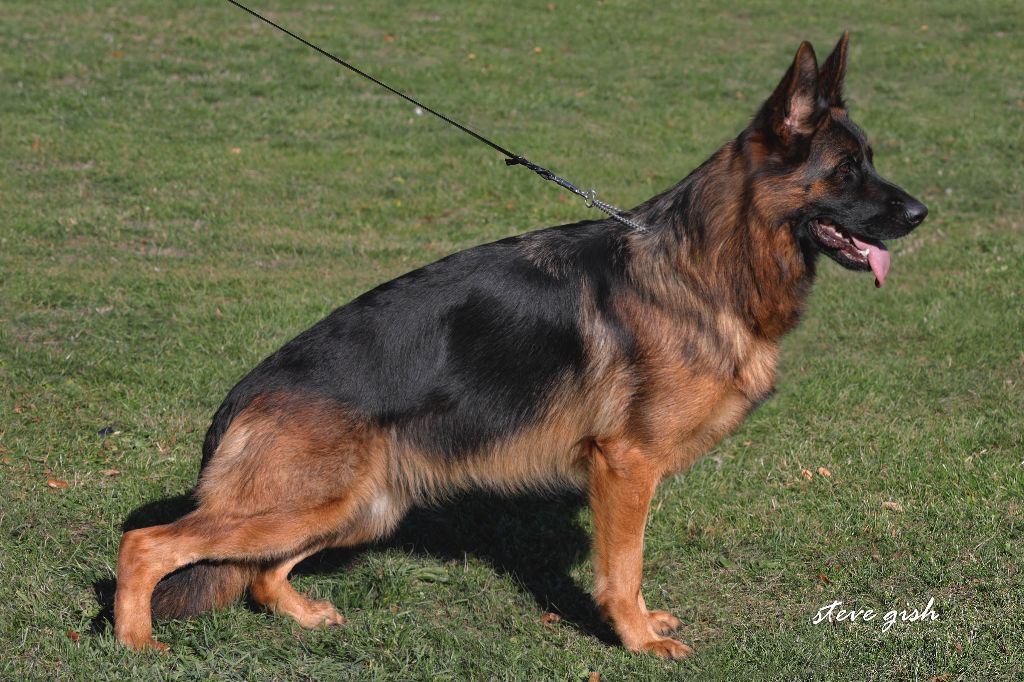 Publication : du val d'Anzin Auteur : Steve Gish