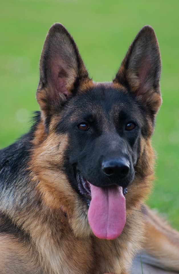 Publication : Vom haus thalie 