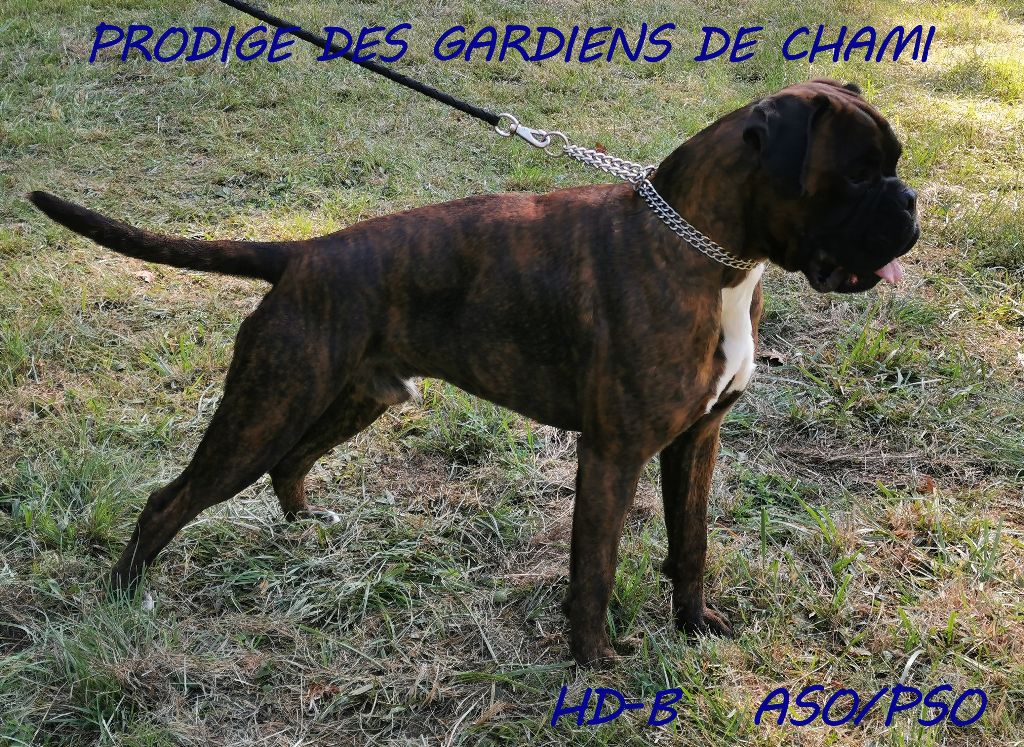 Publication : Des Joyaux De Tsar 