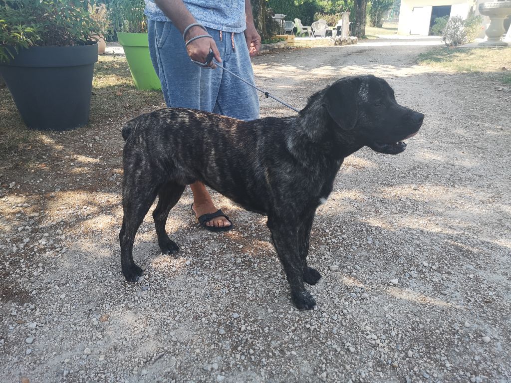 Publication : Of Moonlight Blue 