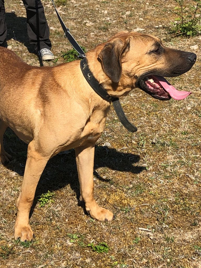 Publication : du domaine de Dalfinat