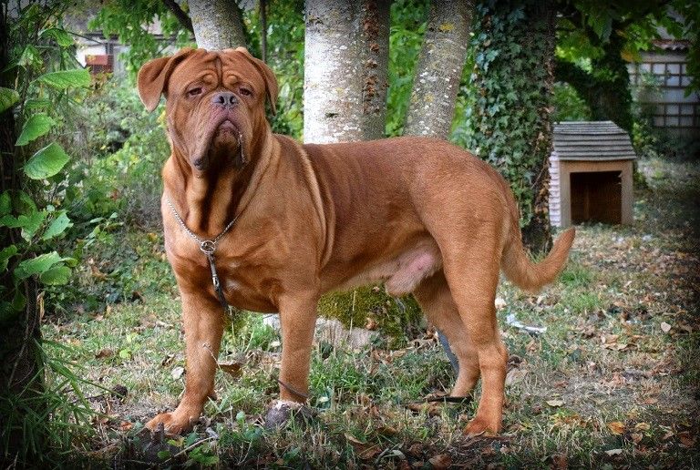 Phenomene-potter de la vallée de Saint Georges