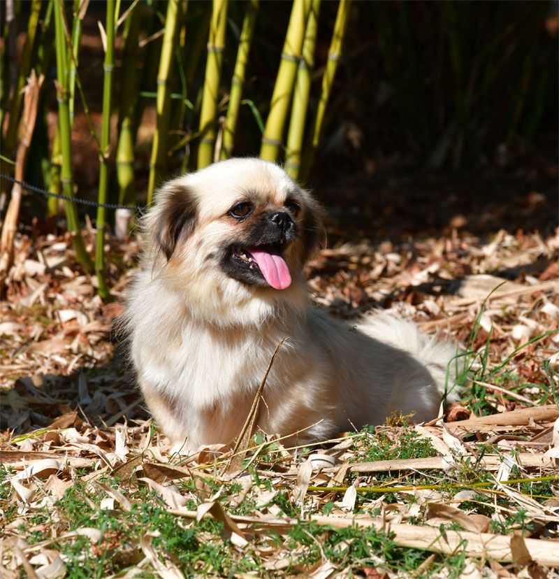 Publication : de dame nature