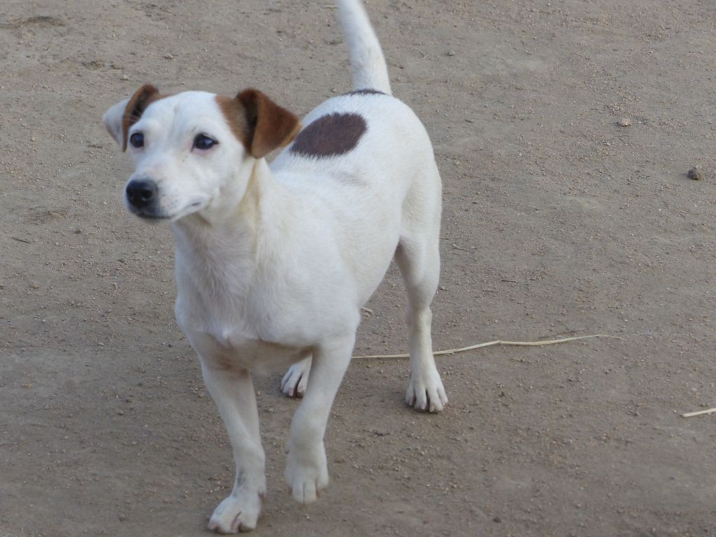 Publication : des Terres des Forges