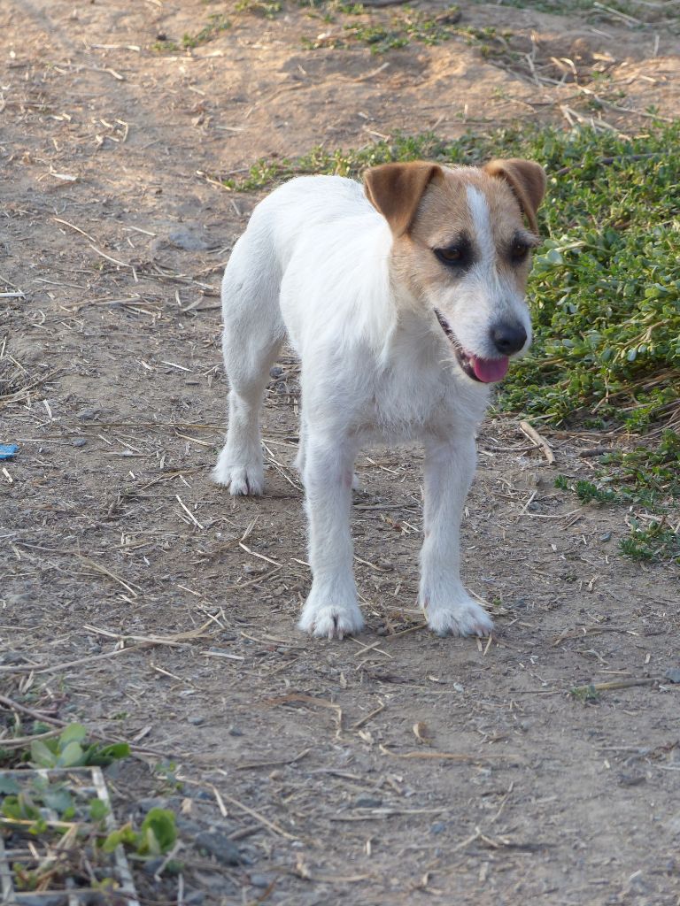 Publication : des Terres des Forges 