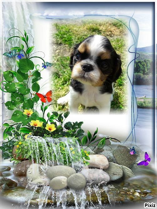 Publication : de la Verte Albion Auteur : EDWIGE JOUGNIAUX