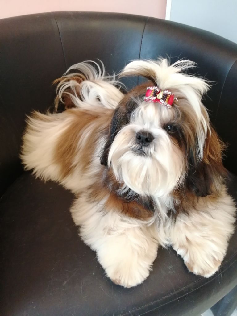 Publication : Du Royaume De Sacrés