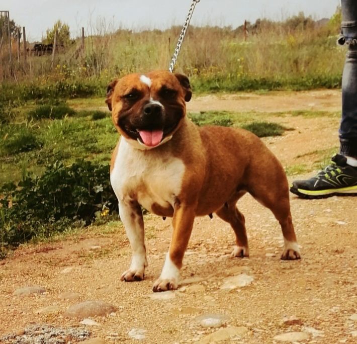 Lisou(l'tres) (Sans Affixe)