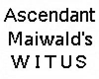 Ashley V.d. wijsterhoeve