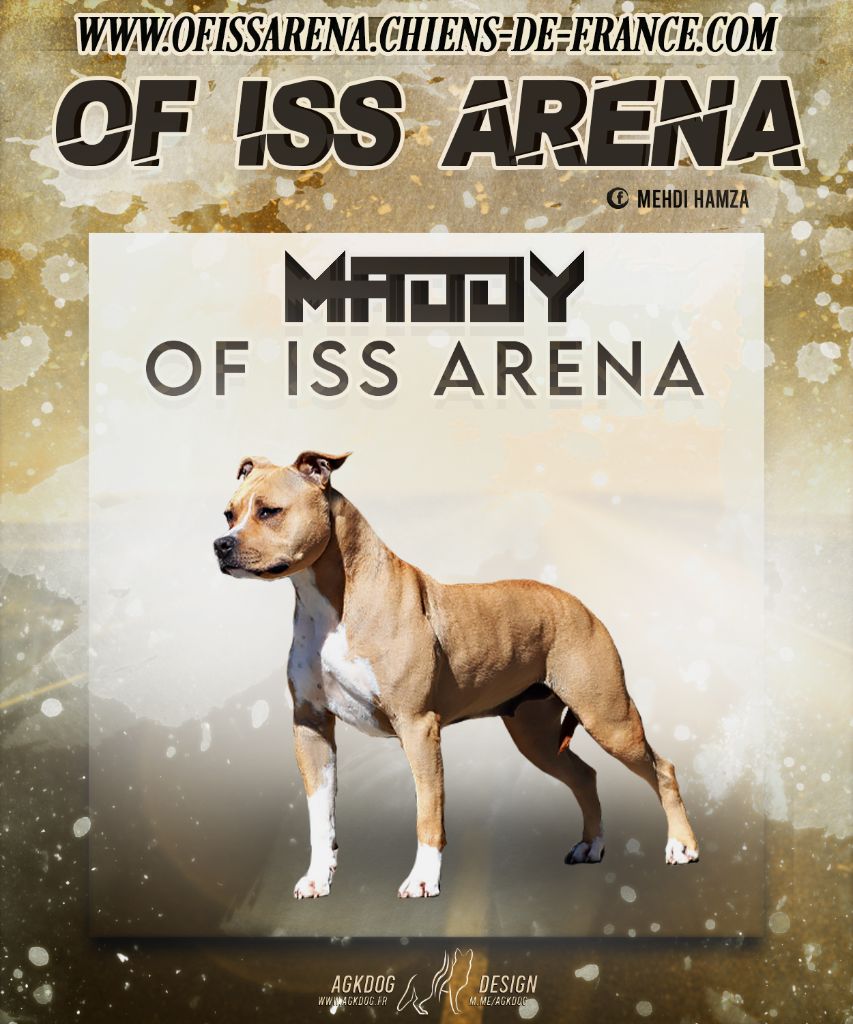 Maddy Of Iss Arena
