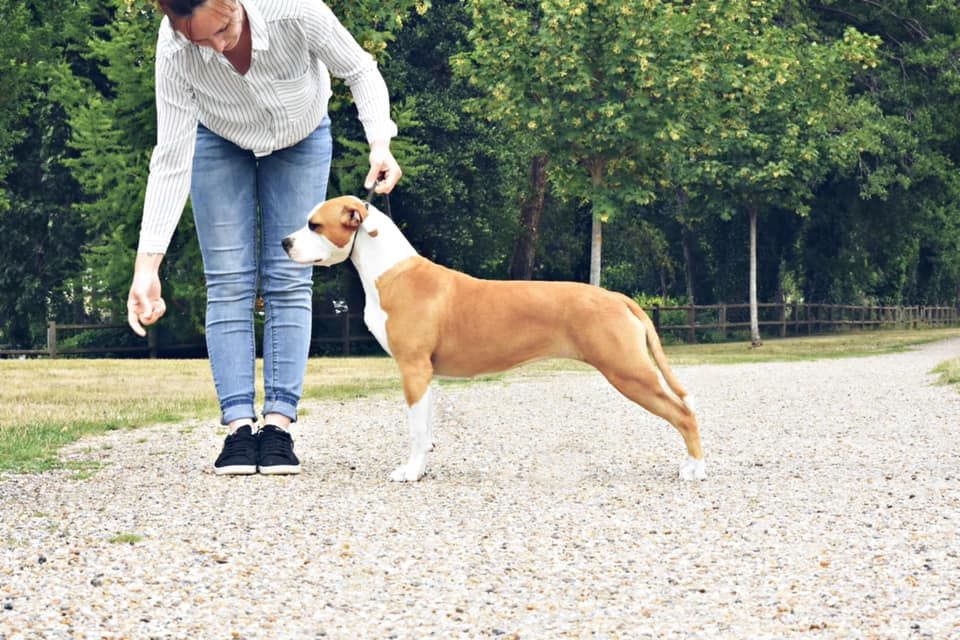 Publication : Of Iss Arena