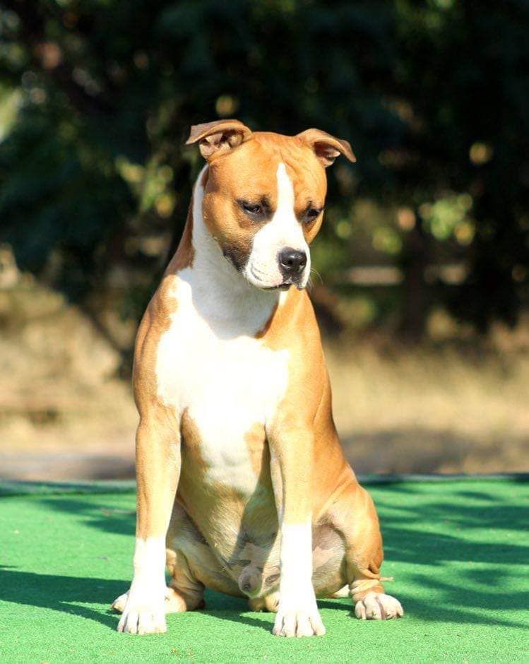 Publication : Of Iss Arena 