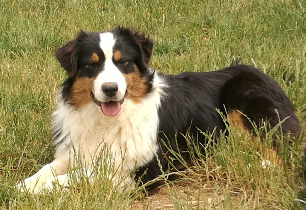 Publication : Isiwun 