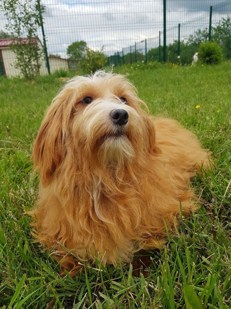 Publication : de l eternel mitness 