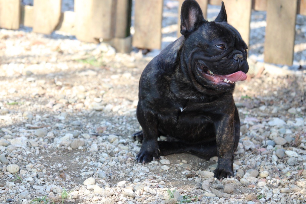 Publication : Sweet Heart Secret's