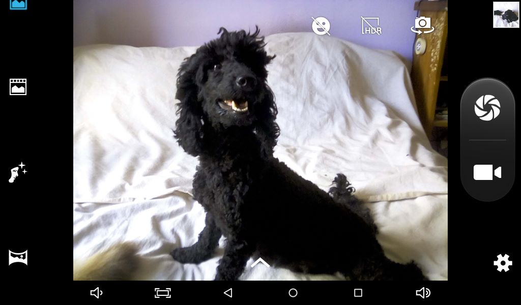 Nellehys de la Brissotière