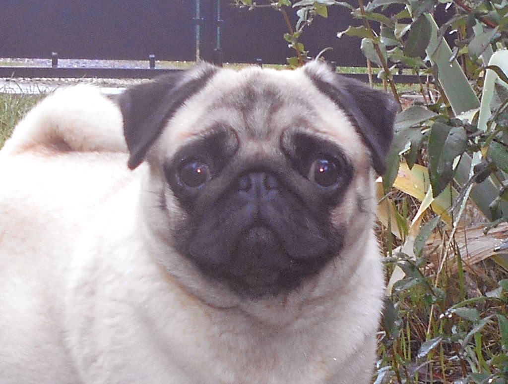 Publication : Nostalgie de France Auteur : Nostalgie de France