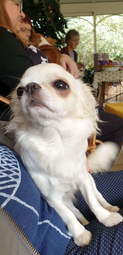 Reina tina dite bidou Des embruns de la lande celte