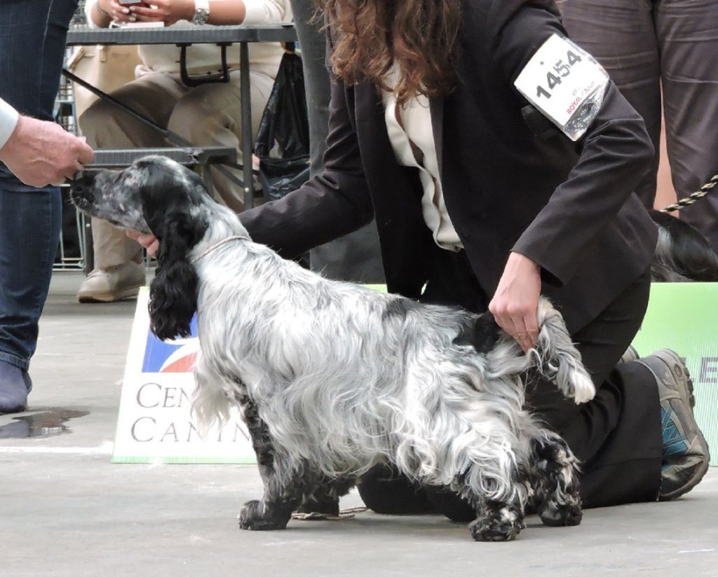 Publication : Ar Ti Marellek 