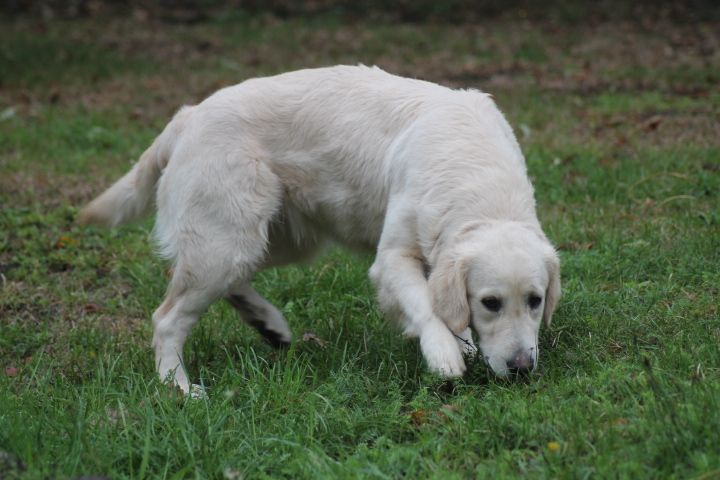 Pierra menta Du rivage des mille etangs