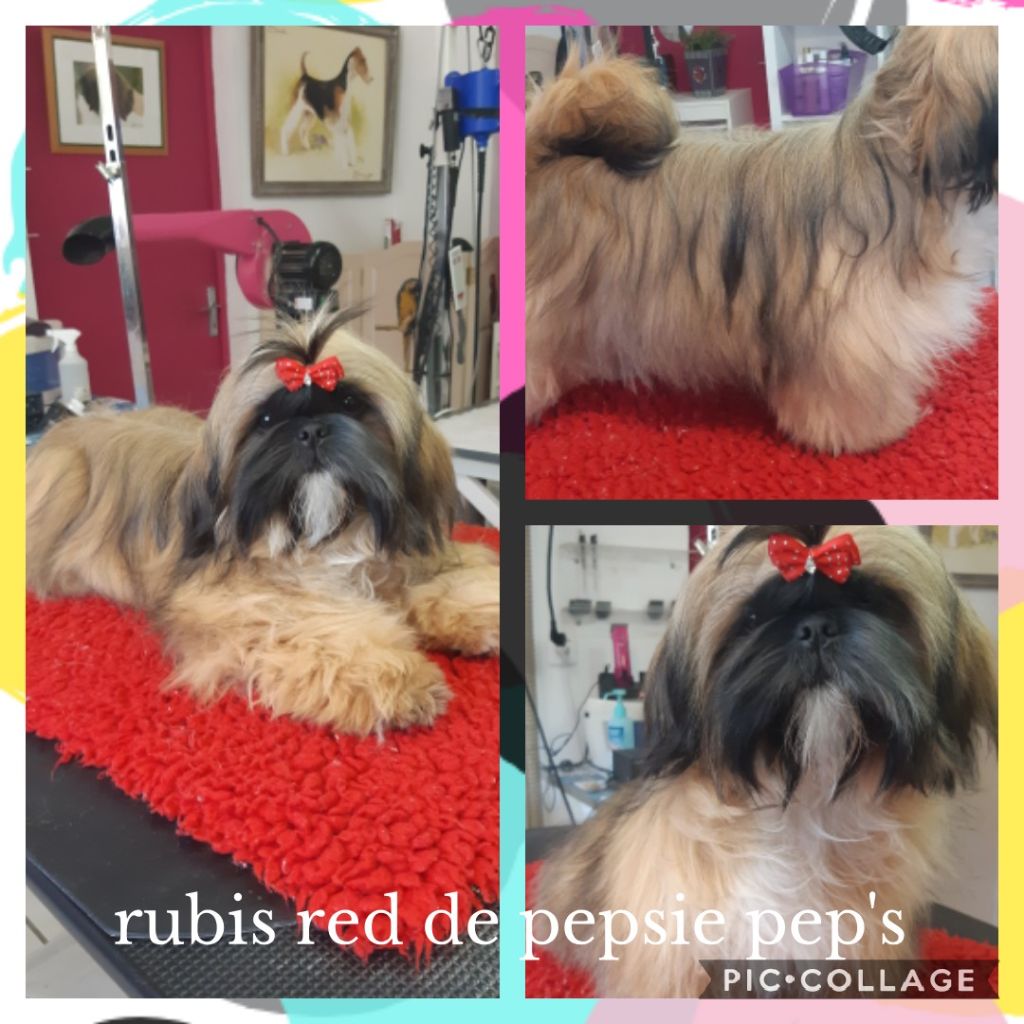 Rubis red De Pepsie Pep's