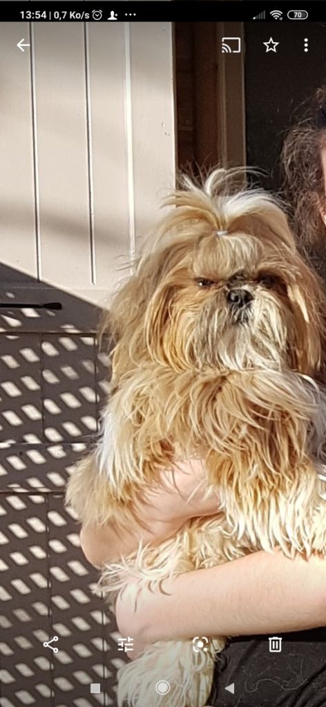 Publication : Des P'tits Bouts D'amour Auteur : Monique Giraud